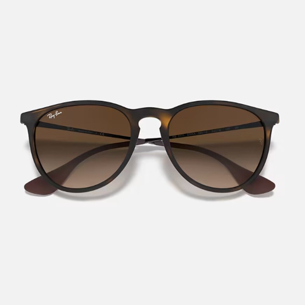 Ray-Ban Most Popular Erika Classic Sunglasses